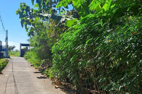 1800m2 Land in South Kuta, Badung, Indonesia No. 13567 9