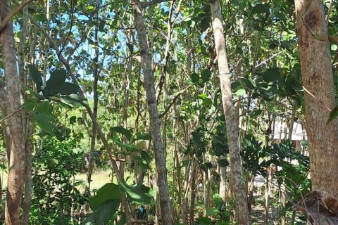 1800m2 Land in South Kuta, Badung, Indonesia No. 13567 11