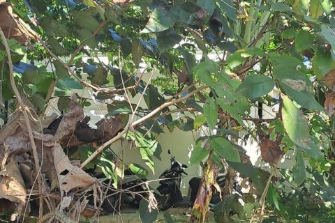 1800m2 Land in South Kuta, Badung, Indonesia No. 13567 10