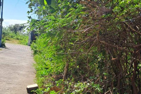 1800m2 Land in South Kuta, Badung, Indonesia No. 13567 4