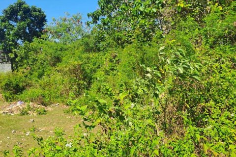 1800m2 Land in South Kuta, Badung, Indonesia No. 13567 3