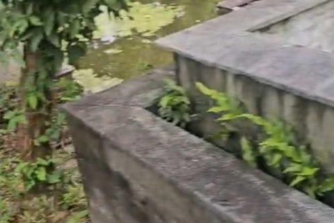 740m2 Land in Tampaksiring, Gianyar, Indonesia No. 13565 10