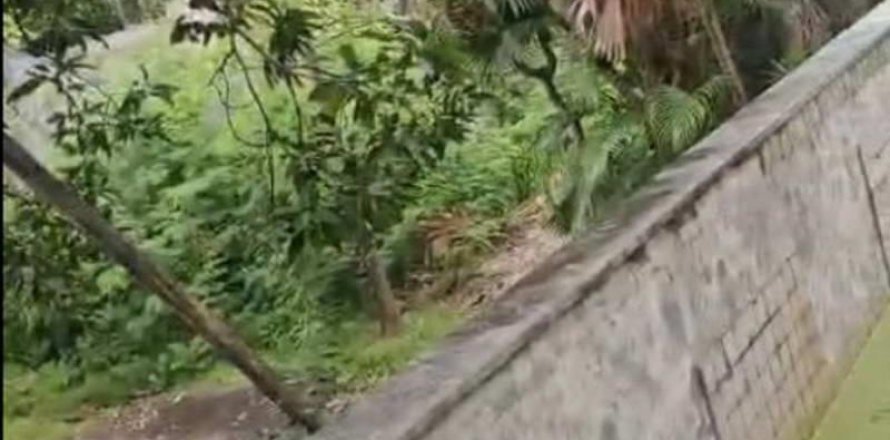 740m2 Land in Tampaksiring, Gianyar, Indonesia No. 13565