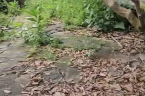 740m2 Land in Tampaksiring, Gianyar, Indonesia No. 13565 4