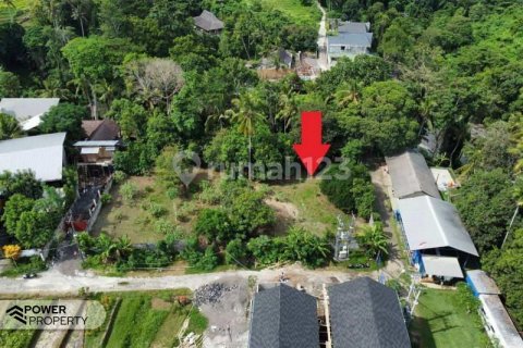 1750m2 Land in Tabanan, Indonesia No. 8624 2