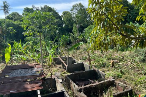 Land in Tumbak Bayuh, Mengwi, Badung, Indonesia No. 11331 5