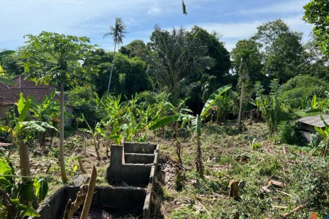 Land in Tumbak Bayuh, Mengwi, Badung, Indonesia No. 11331 3