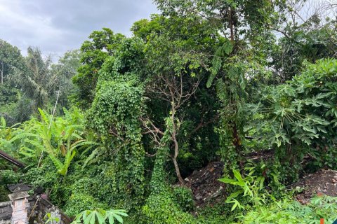 Land in Tumbak Bayuh, Mengwi, Badung, Indonesia No. 11331 4