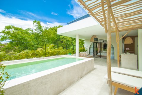 6 bedrooms Villa in Badung, Indonesia No. 11327 3