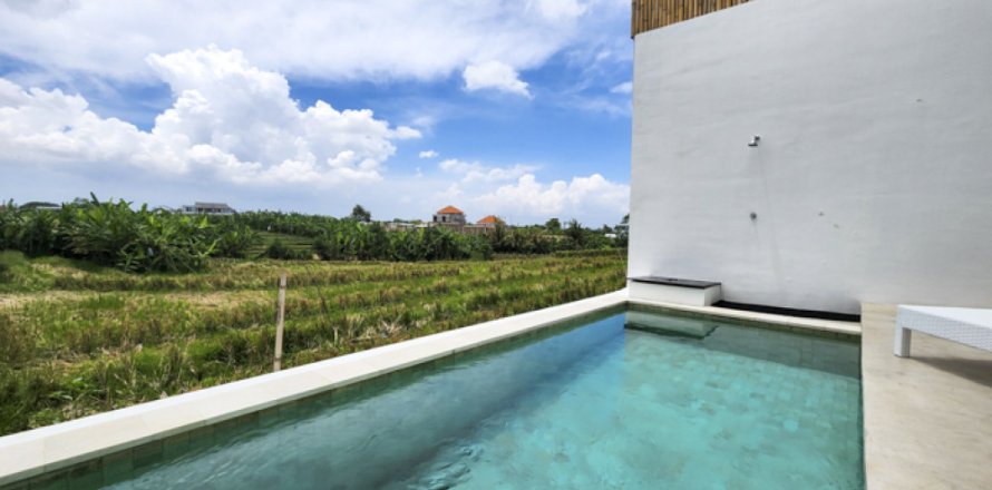 2 bedrooms Villa in Tumbak Bayuh, Mengwi, Badung, Indonesia No. 11325