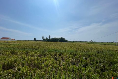 Land in Munggu, Mengwi, Badung, Indonesia No. 11326 3