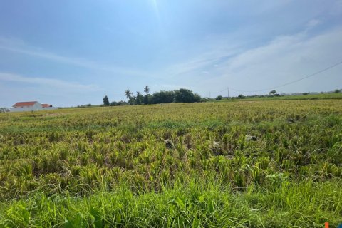 Land in Munggu, Mengwi, Badung, Indonesia No. 11326 4