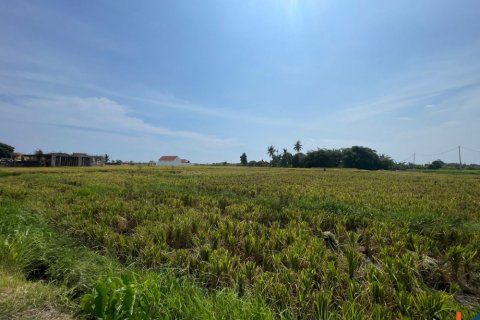 Land in Munggu, Mengwi, Badung, Indonesia No. 11326 2