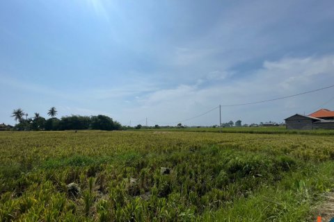 Land in Munggu, Mengwi, Badung, Indonesia No. 11326