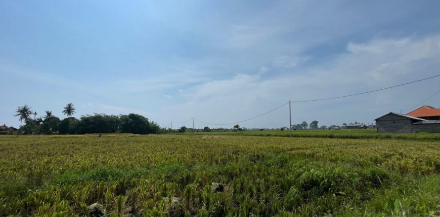 Land in Munggu, Mengwi, Badung, Indonesia No. 11326
