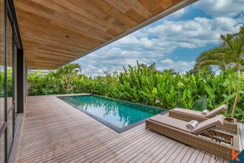 3 bedrooms Villa in Tumbak Bayuh, Mengwi, Badung, Indonesia No. 11040 2