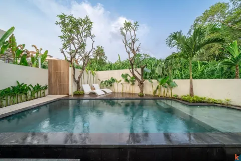1 bedroom Villa in Canggu, Badung, Indonesia No. 11035 23