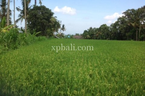 2000m2 Land in Gianyar, Indonesia No. 524 3