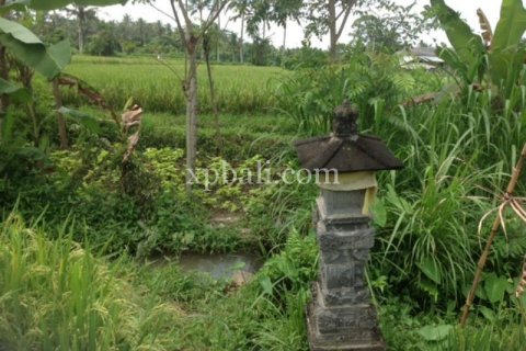 2000m2 Land in Gianyar, Indonesia No. 524 2