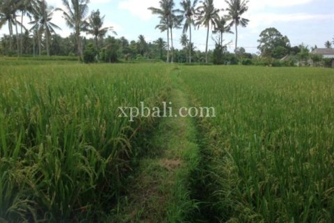 2000m2 Land in Gianyar, Indonesia No. 524 5