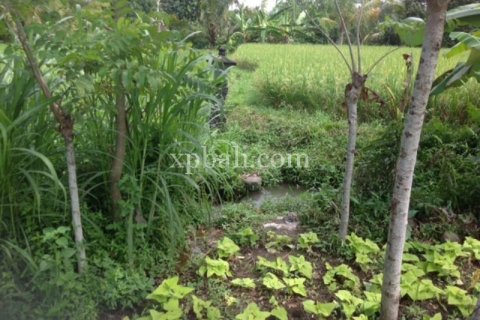 2000m2 Land in Gianyar, Indonesia No. 524 4