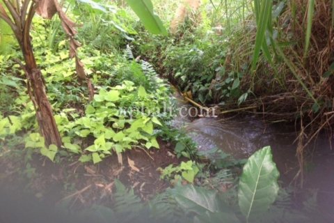 2000m2 Land in Gianyar, Indonesia No. 524 7