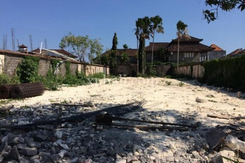 815m2 Land in Seminyak, Badung, Indonesia No. 520 3