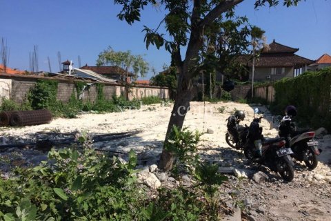 815m2 Land in Seminyak, Badung, Indonesia No. 520 9