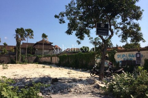 815m2 Land in Seminyak, Badung, Indonesia No. 520 2