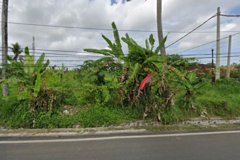Land in Gianyar, Indonesia No. 11439