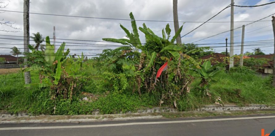 Land in Gianyar, Indonesia No. 11439