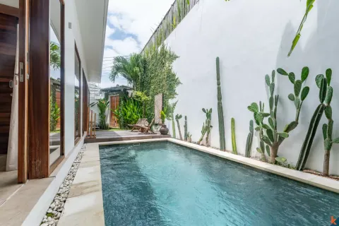 1 bedroom Villa in Pererenan, Mengwi, Badung, Indonesia No. 10324