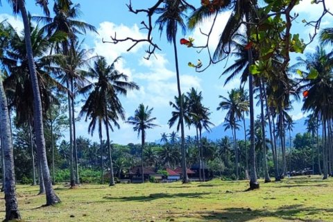 Land in Tabanan, Indonesia No. 11492 7