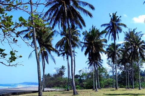 Land in Tabanan, Indonesia No. 11492 5