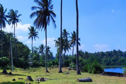 Land in Tabanan, Indonesia No. 11492 6
