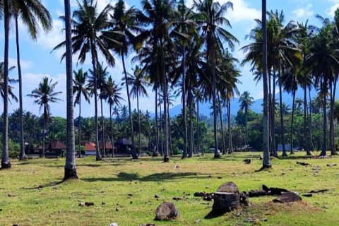 Land in Tabanan, Indonesia No. 11492 3