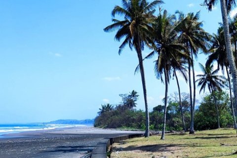 Land in Tabanan, Indonesia No. 11492 4