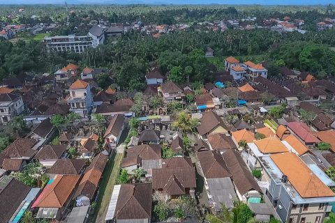 Земельный участок 4500м2 в Убуд, Гианьяр, Индонезия № 13704 4