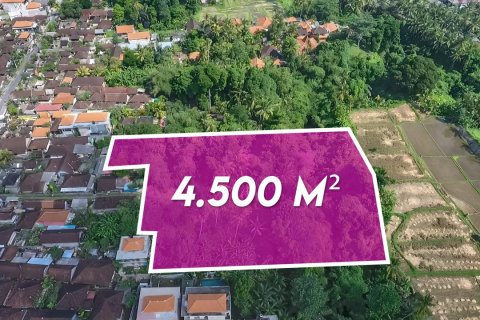 4500m2 Land in Ubud, Gianyar, Indonesia No. 13704