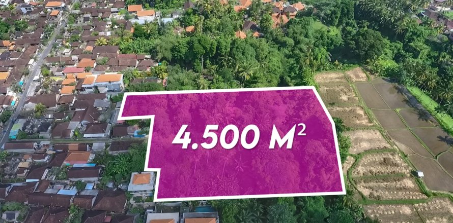 Земельный участок 4500м2 в Убуд, Гианьяр, Индонезия № 13704