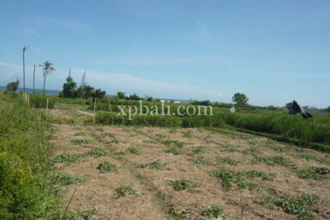 Земельный участок 7696м2 в Gianyar, Гианьяр, Индонезия № 533 3