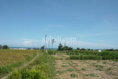7696m2 Land in Gianyar, Indonesia No. 533