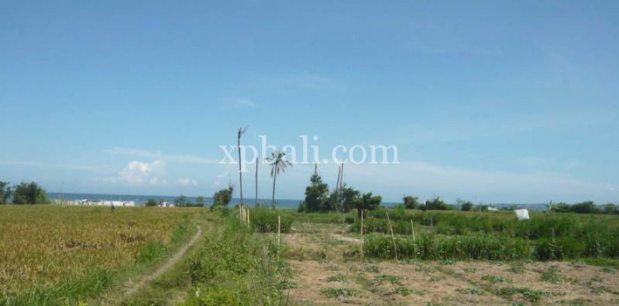 Земельный участок 7696м2 в Gianyar, Гианьяр, Индонезия № 533