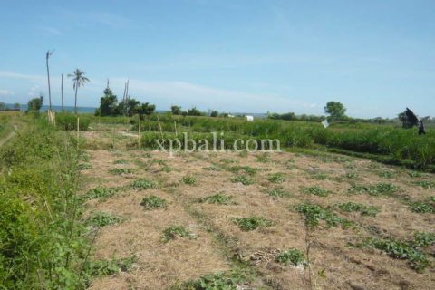 Земельный участок 7696м2 в Gianyar, Гианьяр, Индонезия № 533 4