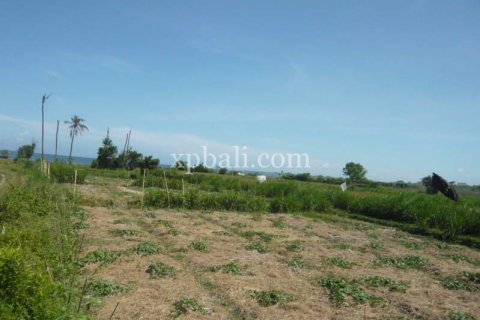 Земельный участок 7696м2 в Gianyar, Гианьяр, Индонезия № 533 2