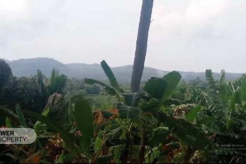 9650m2 Land in Tabanan, Indonesia No. 8847