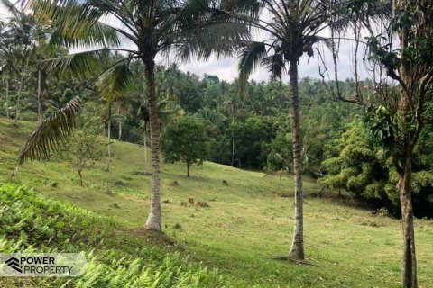 24000m2 Land in Tabanan, Indonesia No. 8849