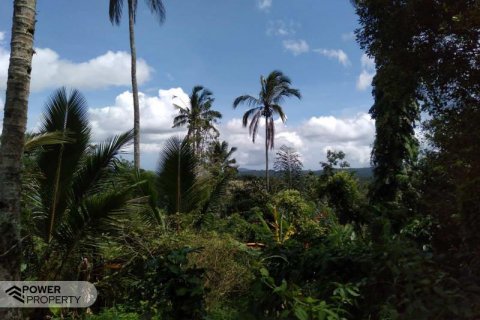 6200m2 Land in Tabanan, Indonesia No. 8848