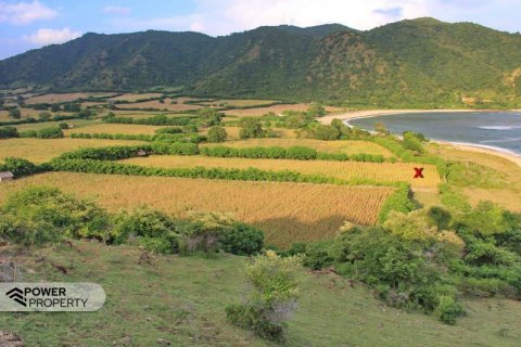 5300m2 Land in West Sumbawa, Indonesia No. 8846 3