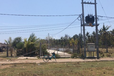 Земельный участок 2605м2 в Gili Trawangan, Гили-Индах, Северный Ломбок, Индонезия № 7882 3
